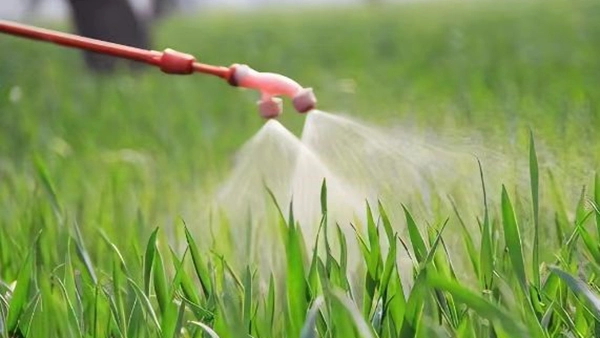 Пестицидтер және тыңайтқыштар